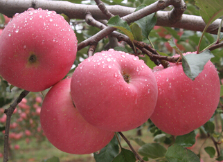 QQ؈D20141021083418.jpg