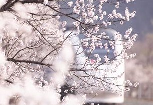 QQ؈D20150407094412.jpg
