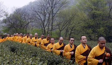 eзU_蹝(ji)-.jpg