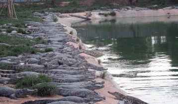 QQ؈D20130623083256.jpg